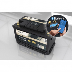 LiFePO₄ Premium Batterie FORSTER F12-120XB1 12,8 V/120 Ah 200 A-BMS-2.0 | Bluetooth Mess-Shunt | Untersitz Ducato Ford PSA VW-T6 MAN-TGE