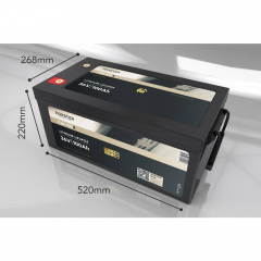 LiFePO₄ Premium Batterie FORSTER F36-100XB 38,4 V/100 Ah 200 A-BMS-2.0 | Bluetooth Mess-Shunt