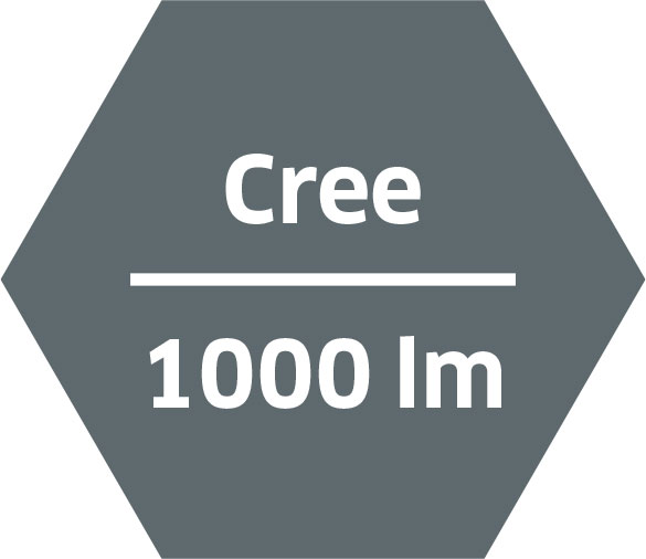 Light source: high-performance LED by Cree with 1000 lm at full luminosity