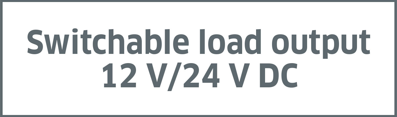 Switchable load output 12 V/24 V DC